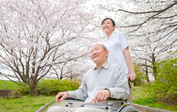 お花見の様子