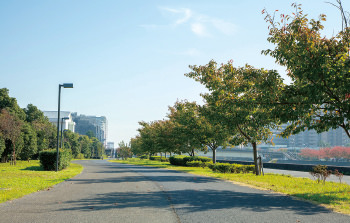 遊歩道の写真