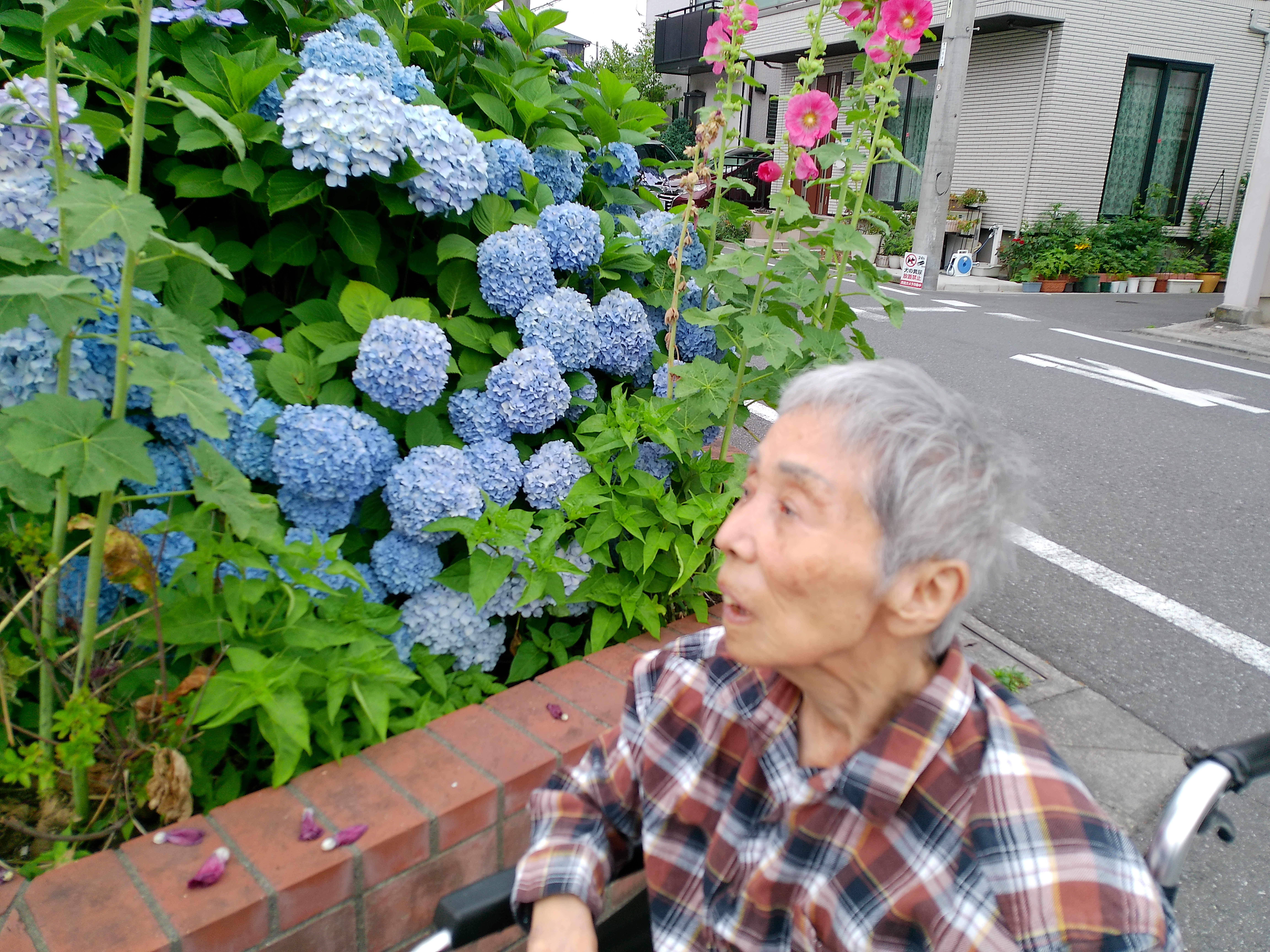 写真