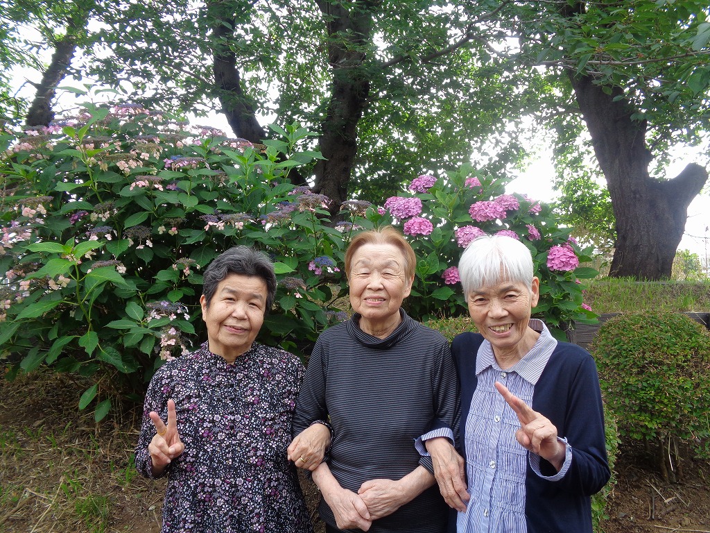 写真