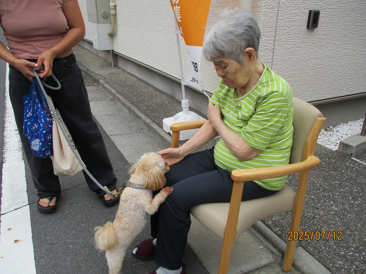 写真