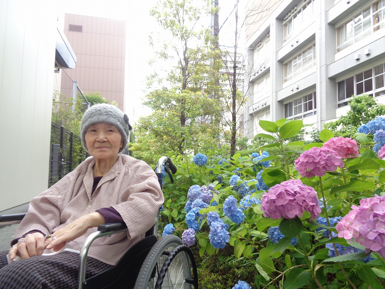 写真