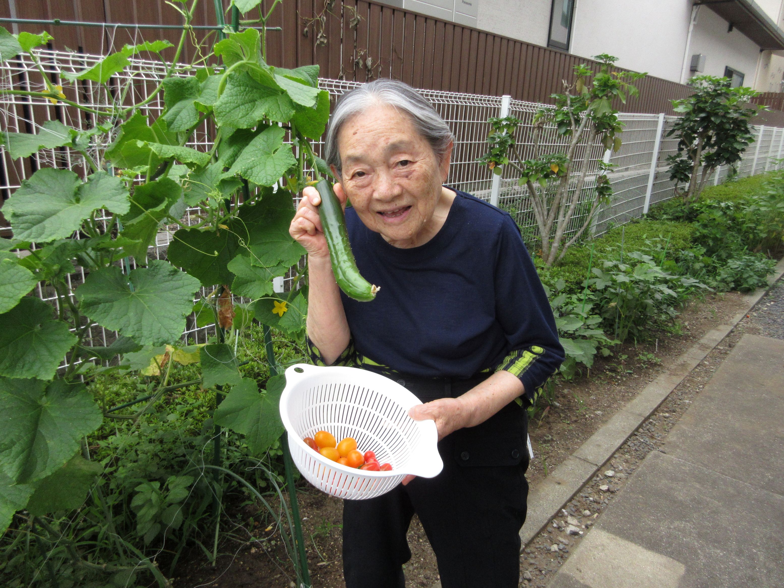 写真