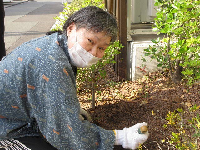 写真