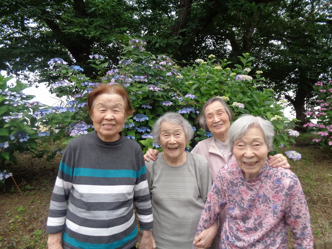 写真